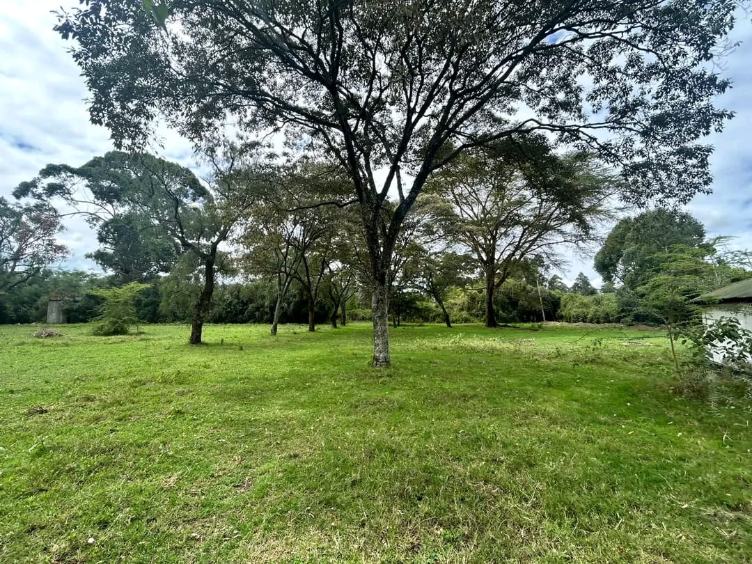 Prime 4.8 Acres Land for Sale – Karen (Touching Tarmac)